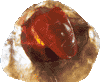 Feueropal